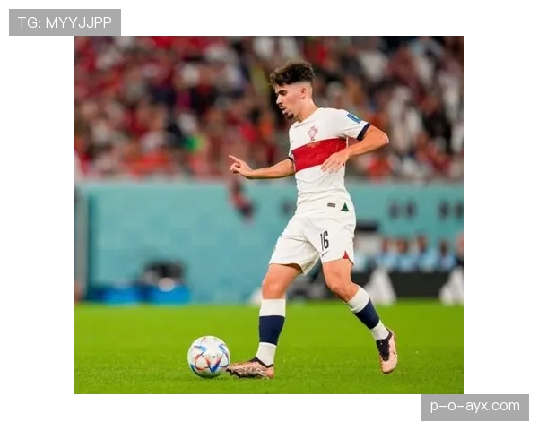 维蒂尼亚展现巨大潜力，成长空间引发广泛关注