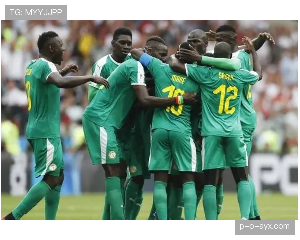 塞内加尔国家队聚焦年轻力量，世界杯复兴之路前景看好
