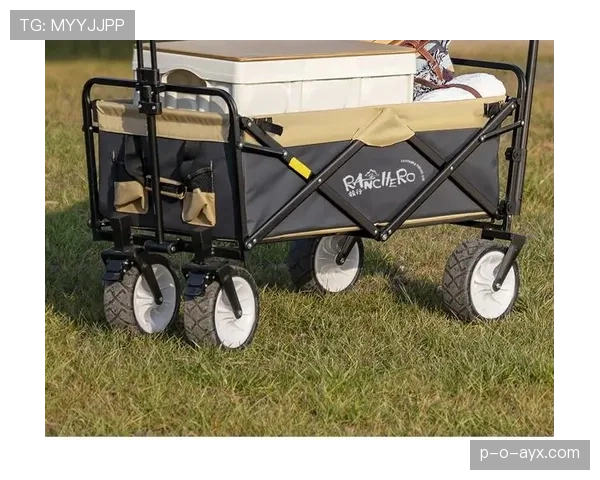 巴洛特利超市买菜被认出，推车里全是能量饮料和黑咖啡